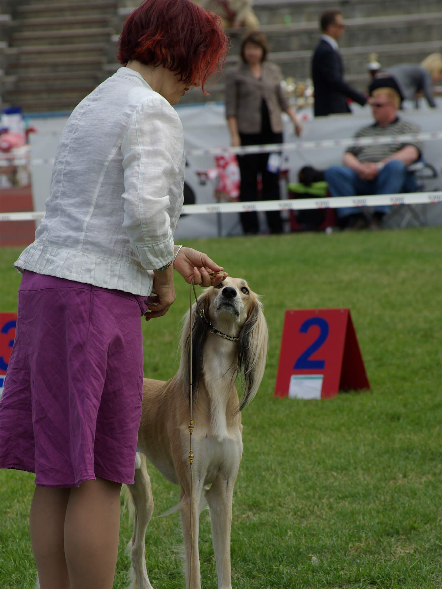 Dog with lovers