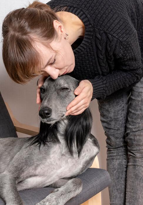 Dog with lovers