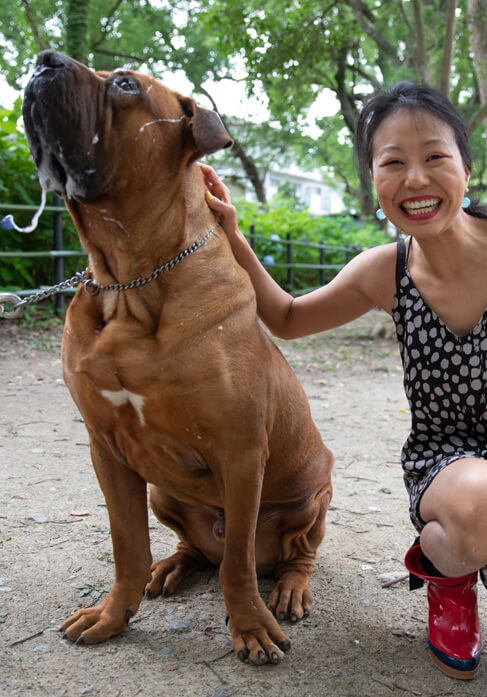 Dog with lovers