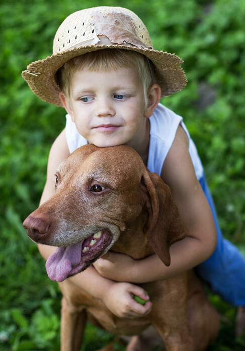 Dog with lovers