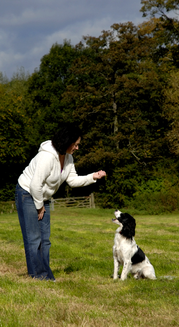 what do dog obedience classes teach